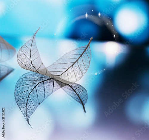 Transparent white leaf