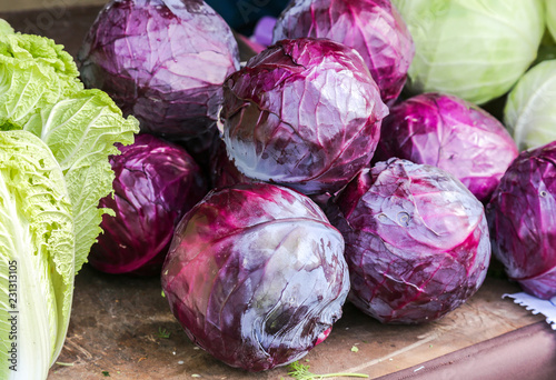 Red fresh cabbage of new harvest ready to sale