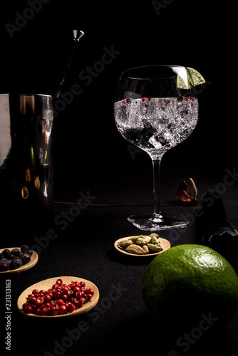 tasty and fresh gin and tonic cocktail on a black background next to your ingredients
