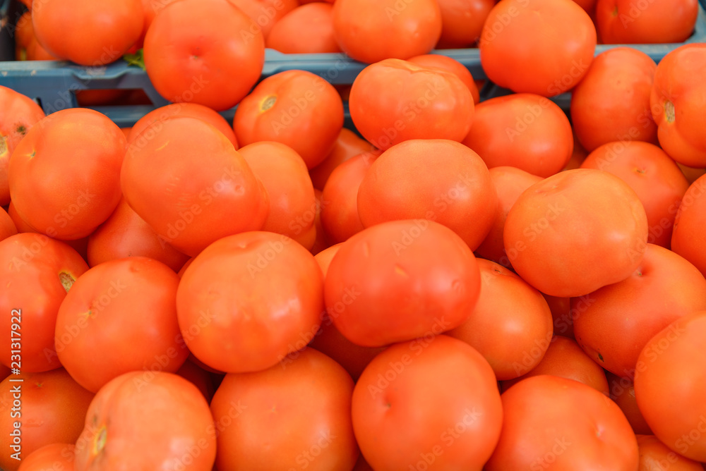 Group and heap of tomatoes on blue plastic basket. 