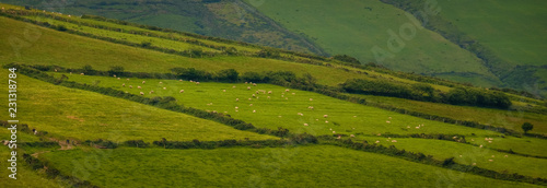 Rural scenes