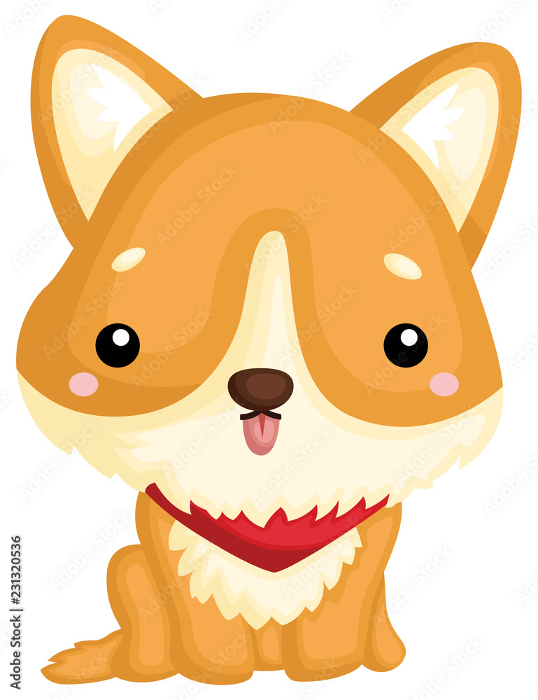 an adorable and cute pure breed corgi an adorable and cute pure breed corgi