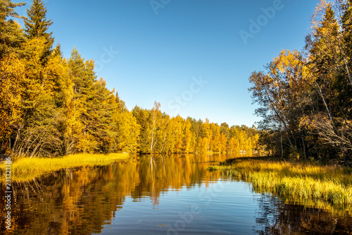 Finnish autumn
