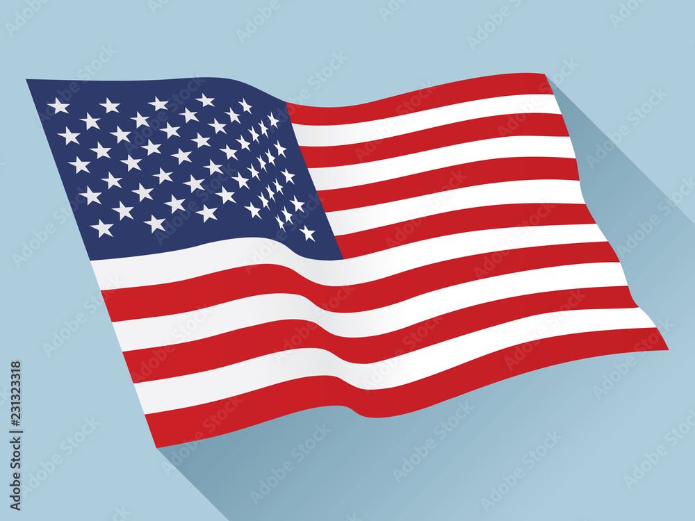 Obraz premium USA flag vector