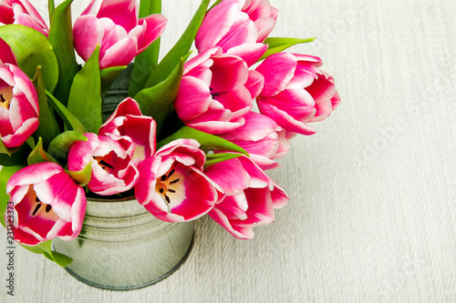 Bukiet różowych tulipanów na jasnym tle, miejsce na tekst.