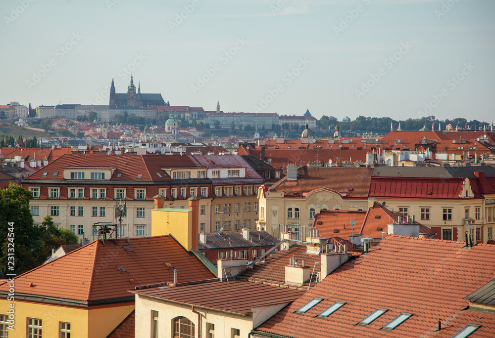 Obraz premium Prage castle with red rooftops