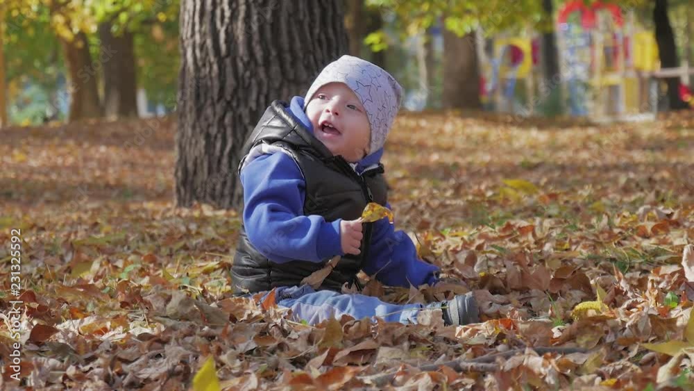 Little baby boy sitting on grass and fallen leaves in park on bright and sunny early autumn day looking at yellow leaf in hand and smiling. Happy baby boy throws autumn leaves and laughs outdoors. Little baby boy sitting on grass and fallen leaves in park on bright and sunny early autumn day looking at yellow leaf in hand and smiling. Happy baby boy throws autumn leaves and laughs outdoors.