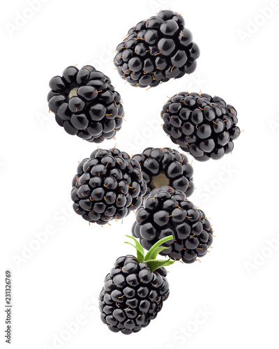 Falling blackberry isolated on white background, clipping path, full depth of field