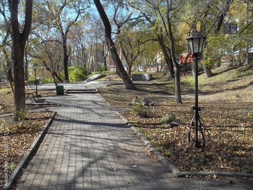 bench in the park