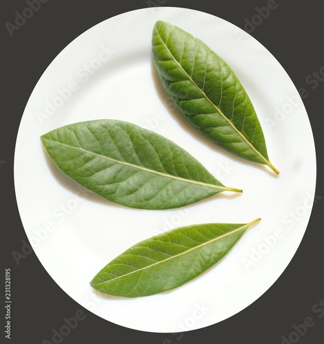 Fresh bay-laurel leaves begin to dry on a plate