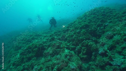 Wallpaper Mural Abtauchen Torontodigital.ca