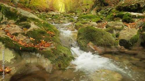Wallpaper Mural Autumn 4K landscape. Composition of nature. River into canyon forest. Torontodigital.ca