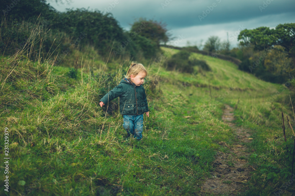 Little toddler walking on hillside in autumn Little toddler walking on hillside in autumn