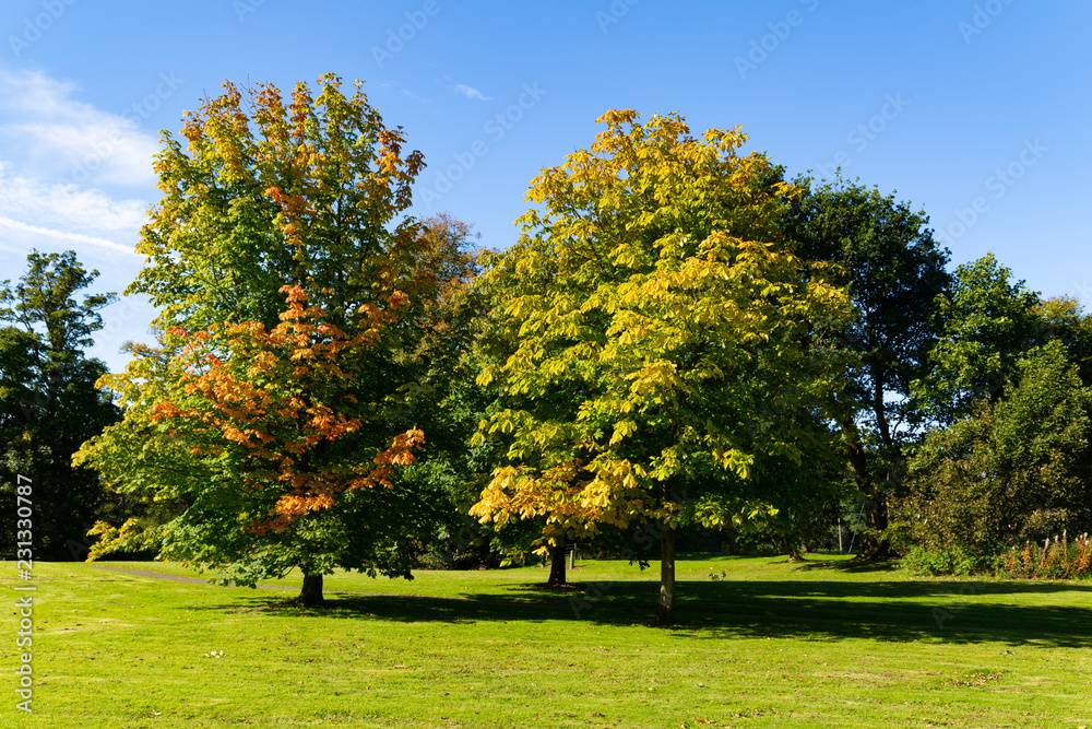 Naklejka premium 365 Challenge - Day 267