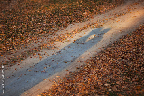The lovers shadows on forest ground road. Couple kissing in autumn sunset.