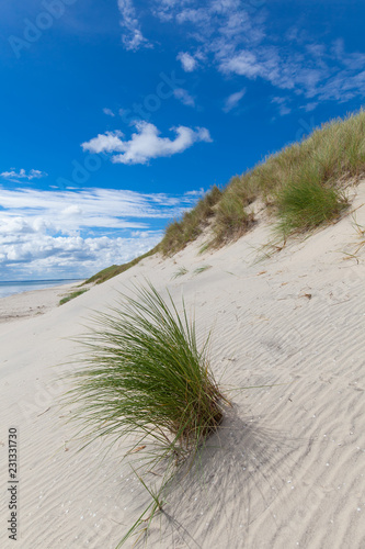 Fototapeta Naklejka Na Ścianę i Meble -  Sand dune