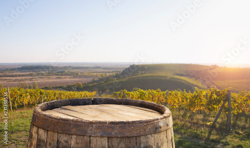 Tuscan vineyardsThe sunset on the vineyards of the Bolgheri wine. © kishivan