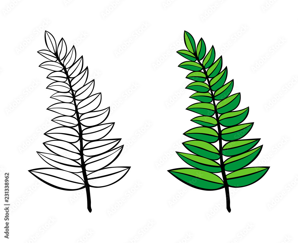 Set of vector branches. hand drawn tree branches with leaves isolated on white background. design element leaves decoration. tattoo. logo