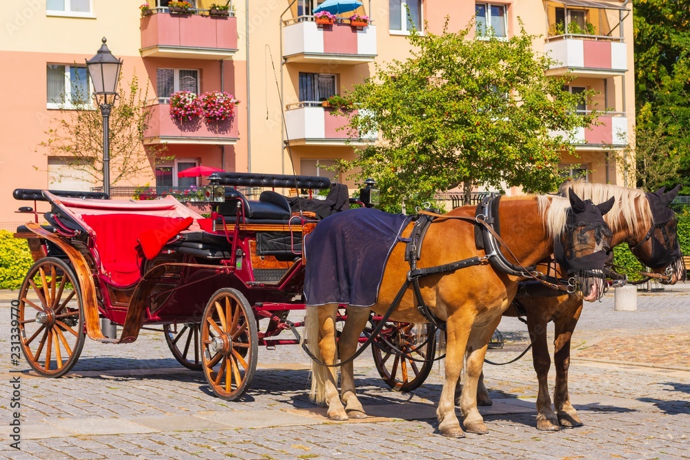 Pferdekutsche auf dem Markt wartet auf Kundschaft Pferdekutsche auf dem Markt wartet auf Kundschaft