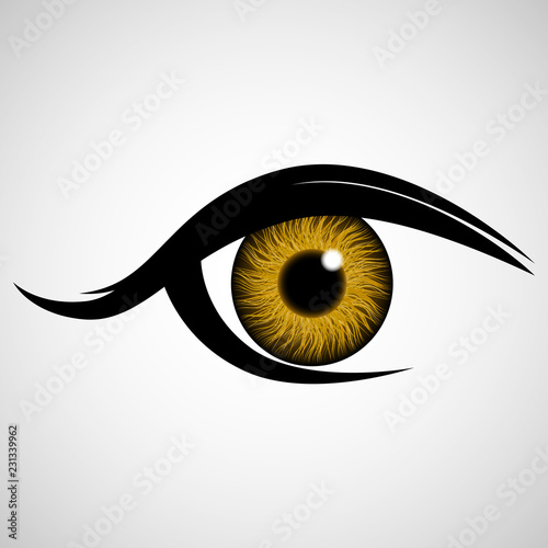 The human eye, look. Iris. Ophthalmic lenses. Vector illustration.