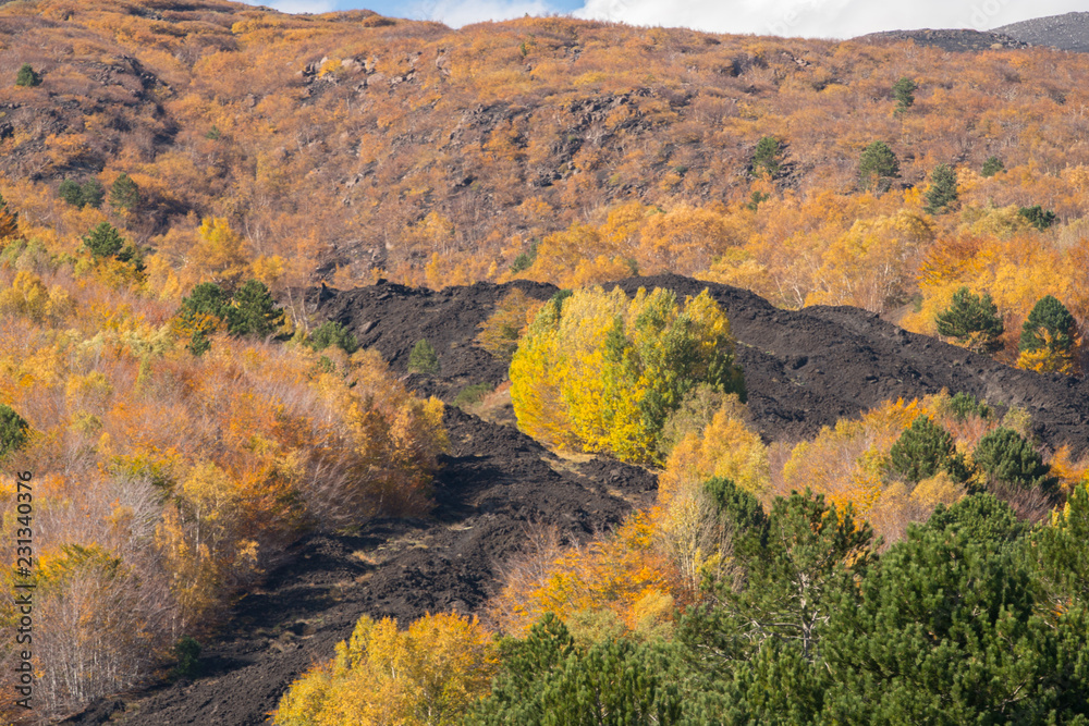 The colorful forests and lava flows in the autumn season on the Etna volcano