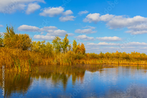 small lake in the red autumn forest