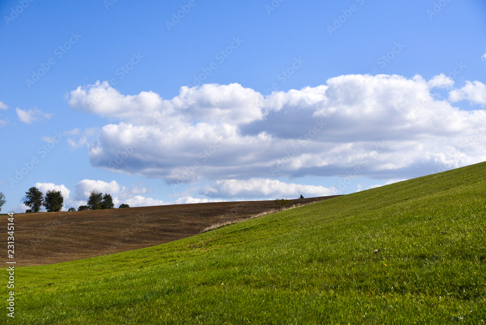 big white clouds in a blue sky above green grass