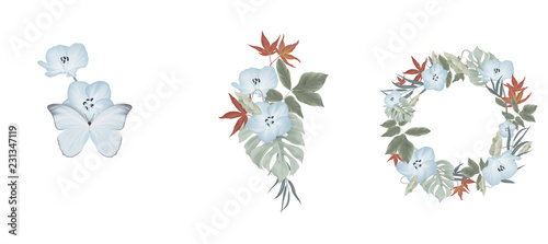 Floral bouquet composition set, blue Nemophila flowers and leaves