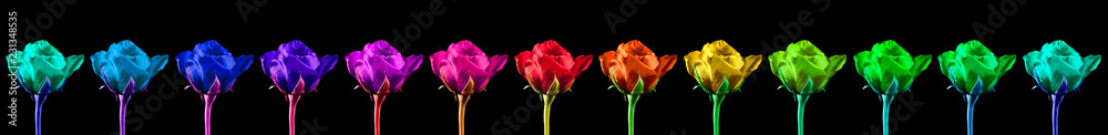 Obraz premium Tulips in a row, 