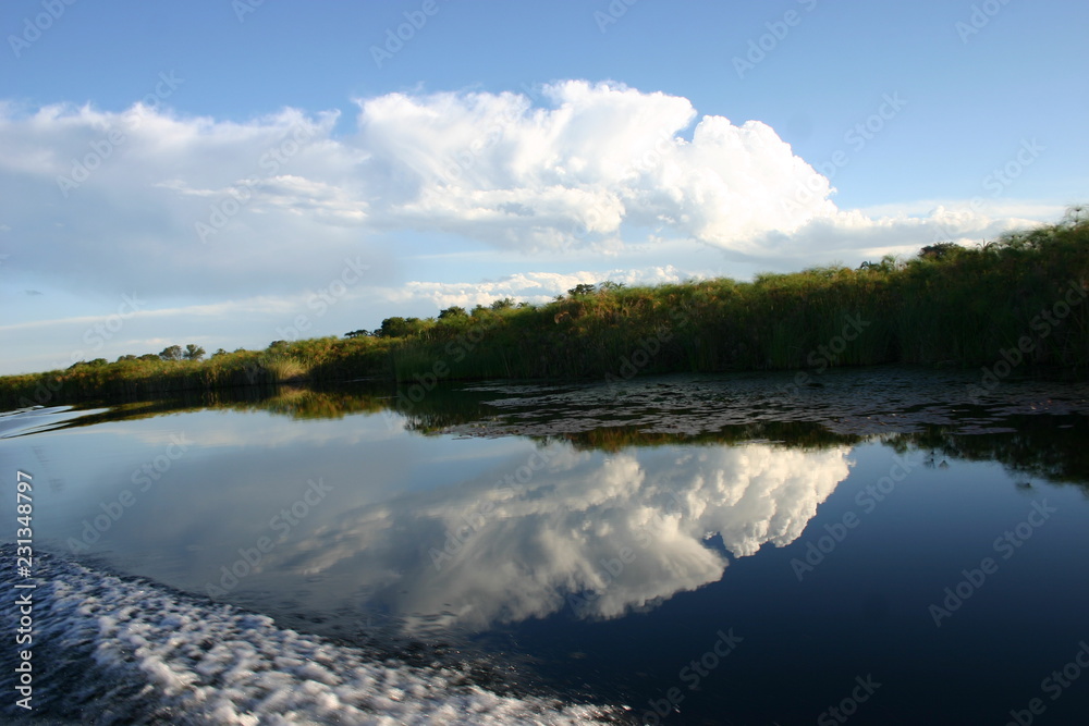 Fototapeta premium Okavango 4