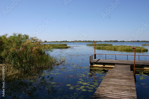 Okavango 10