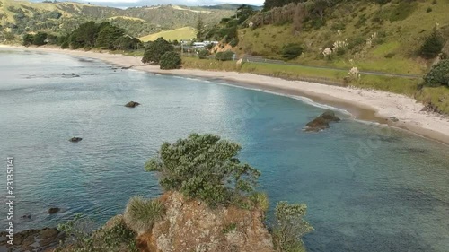 Coromandel aerea