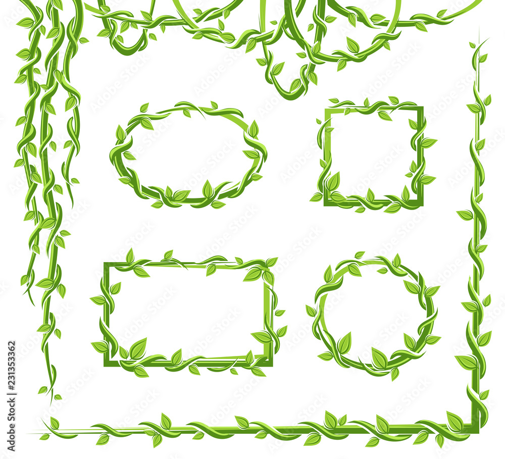 Liana frame and leaves collection set. Vector