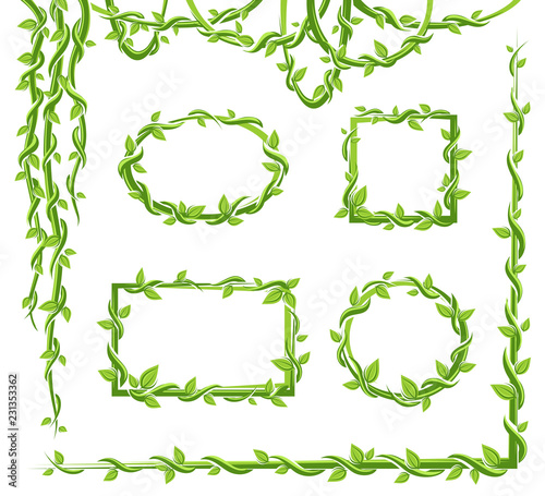 Liana frame and leaves collection set. Vector