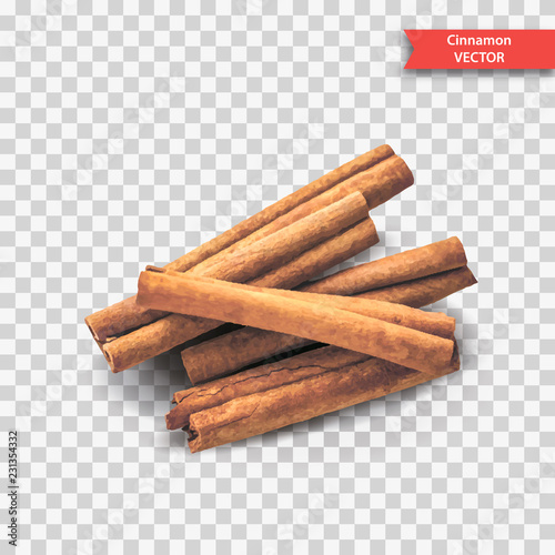 A pile of dry cinnamon bark or sticks on a transparent background. Object Decor for New Year or Christmas. Realistic Vector Illustration