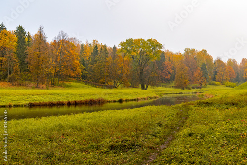 Fototapeta Naklejka Na Ścianę i Meble -  Autumn landscape beautiful colored trees over the river