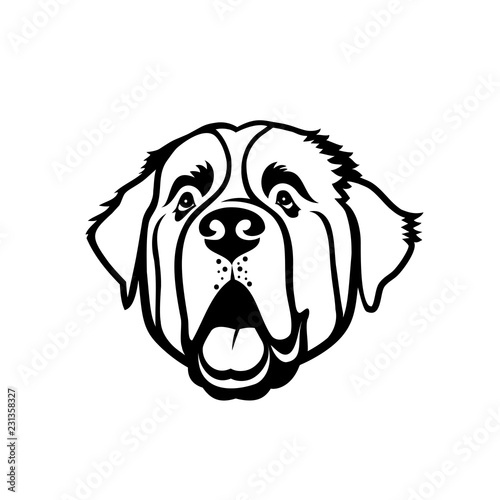 St. Bernard dog - isolated outlined photo