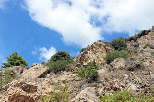 Hillside with vegetation horizontal eroded