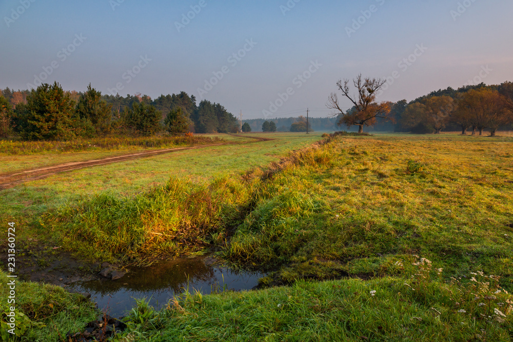 Chojnowski landscape park at autumn near Konstancin-Jeziorna, Masovia, Poland Chojnowski landscape park at autumn near Konstancin-Jeziorna, Masovia, Poland