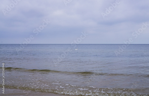 Fototapeta Naklejka Na Ścianę i Meble -  Beautiful coast of the sea coast in the Gulf of Riga, Latvia, Kurzeme