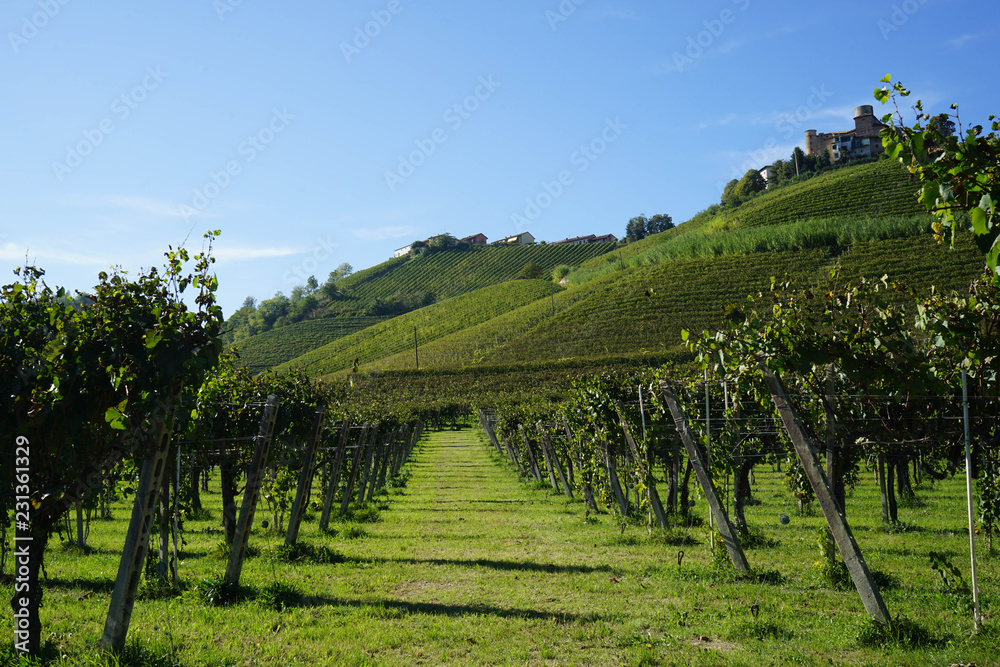 Obraz premium View of the Langhe hills with the village of Castiglion Falletto and his castle, Piedmont - Italy