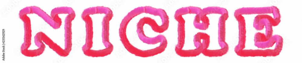 Niche - clear pink text written on white background Niche - clear pink text written on white background