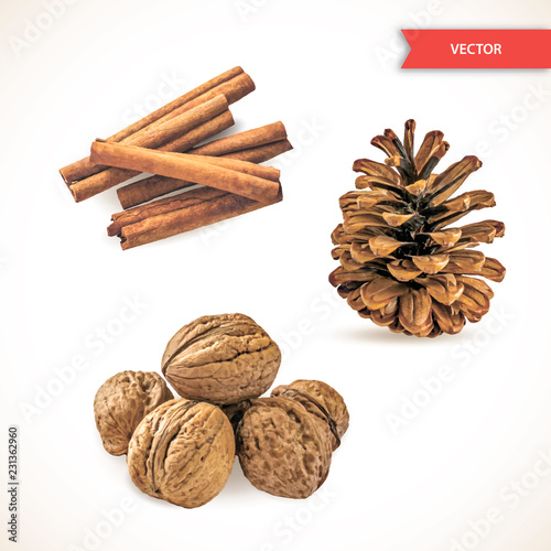 Heap or pile of dry cinnamon bark or chopsticks, walnuts and pine cone isolated on white background. Set of Decor Objects for New Year or Christmas. Realistic Vector Illustration