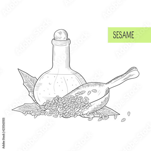 Sesame. Leaves, grain, seed, bottle. Ladle. scoop. Sketch. On a white background. Monochrome.