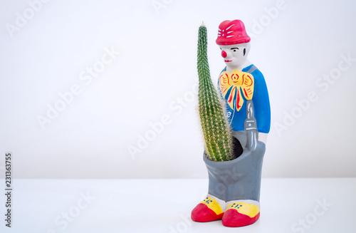 Ceramic flower pots in the shape of a clown. Cactus in a flower pot. The concept of male potency.