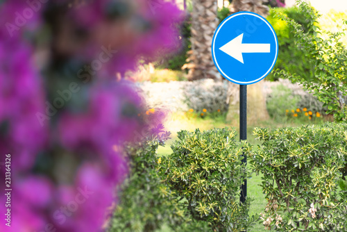 Arrow road sign with tree in background photo