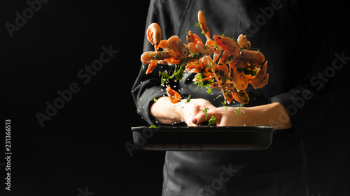 Professional chef 