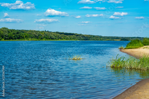 Fototapeta Naklejka Na Ścianę i Meble -  Bend of the river in summer in rural areas