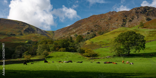 Borrowdale Valley, Lake District National Park, England, UK