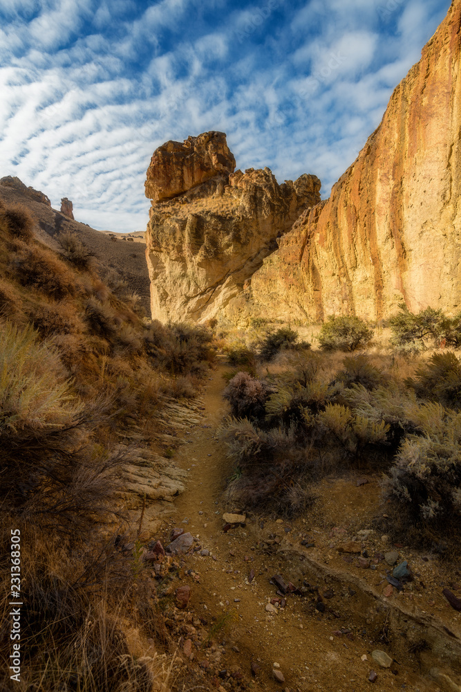 Obraz premium Foot path leads through a rocky canyon in a popular hiking place in Oregon